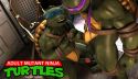 Gay mutant ninja turtles